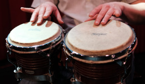Bongos
